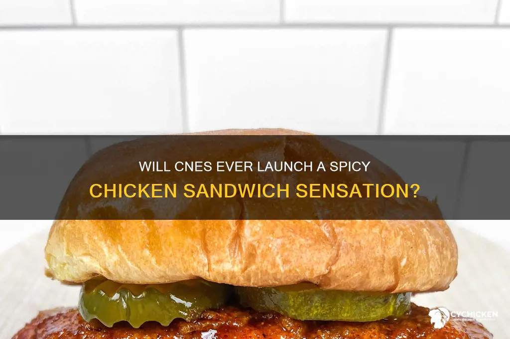 will cnes ever have a spicy chicken sandwich