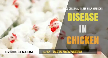 Colloidal Silver for Marek's Disease in Chickens: Effective Treatment or Myth?