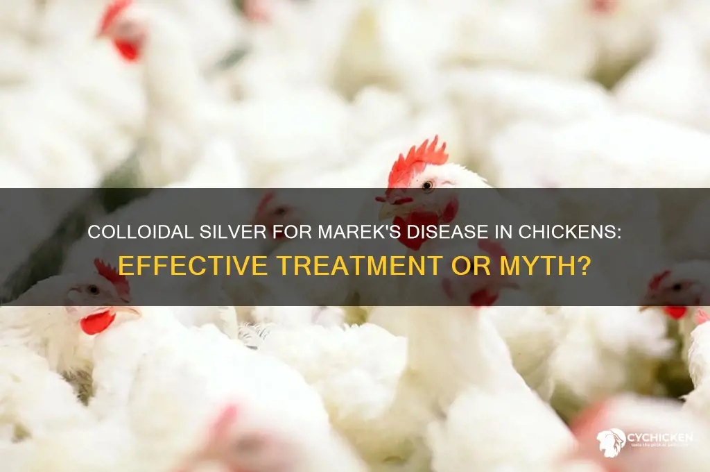 will collidial silver help marecks disease in chicken