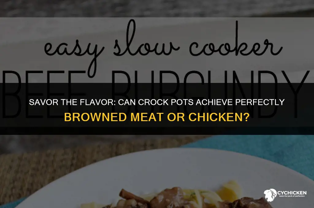 will crock pots brown meat or chicken