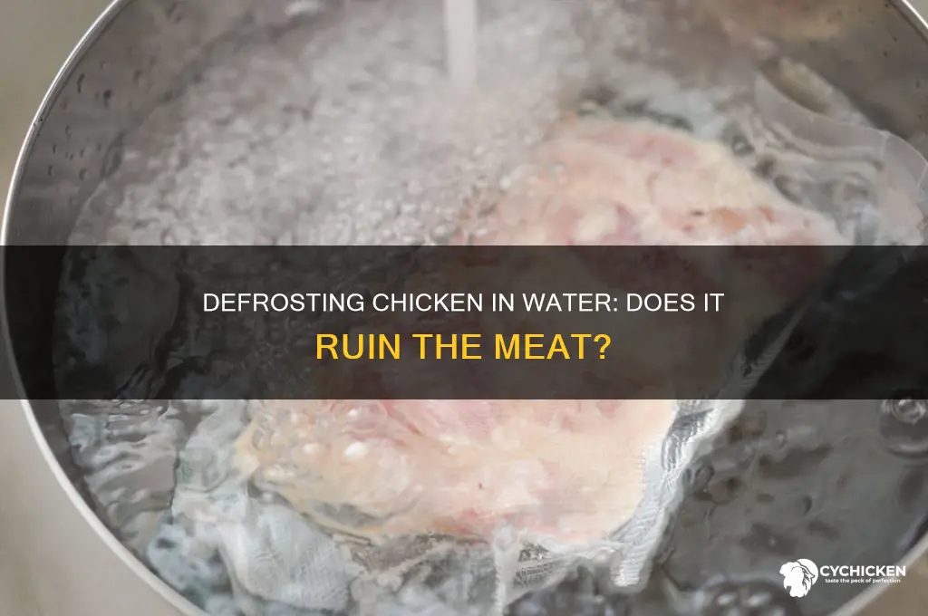 will defrosting chicken in water ruin the chicekn