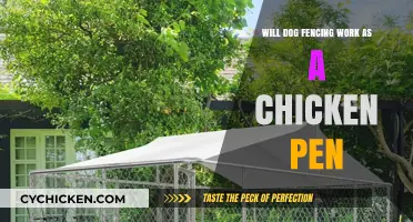 Can Dog Fencing Double as a Secure Chicken Pen? Find Out!