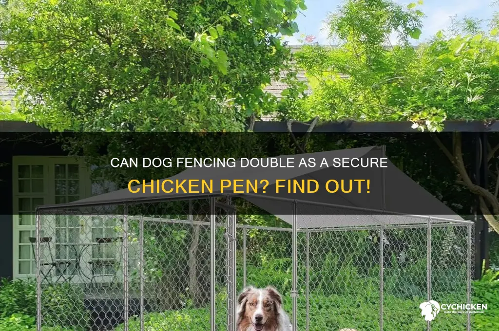 will dog fencing work as a chicken pen