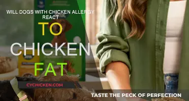 Chicken Fat: Safe or Not for Dogs with Chicken Allergies?