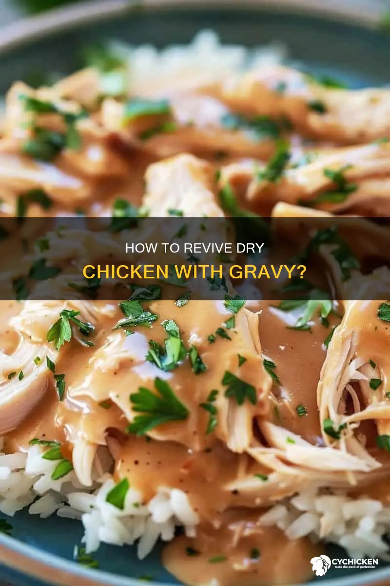 will dried out chicken become moist again in gravy