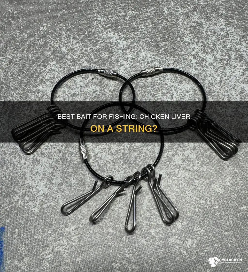 will elastic string hold chicken liver on the hook