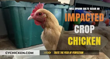 Epsom Salts for Impacted Crop in Chickens: Effective Treatment or Myth?