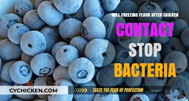 Freezing Flour Post-Chicken Contact: Effective Bacteria Prevention or Myth?