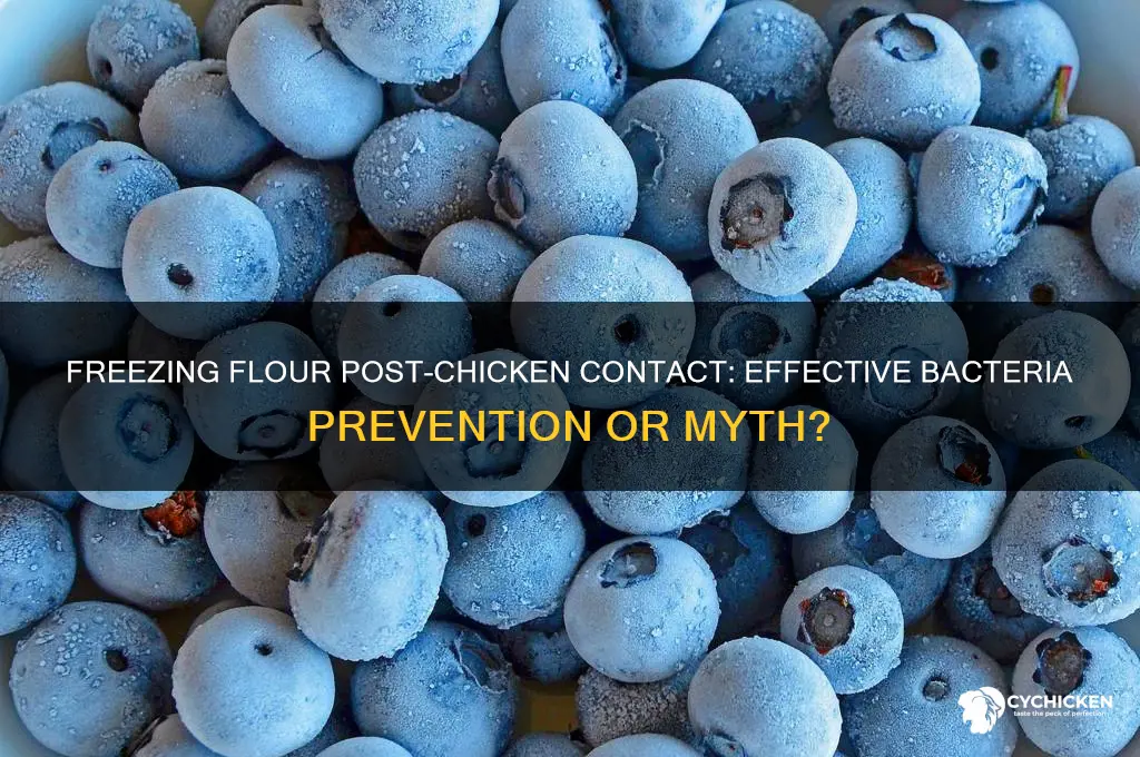 will freezing flour after chicken contact stop bacteria