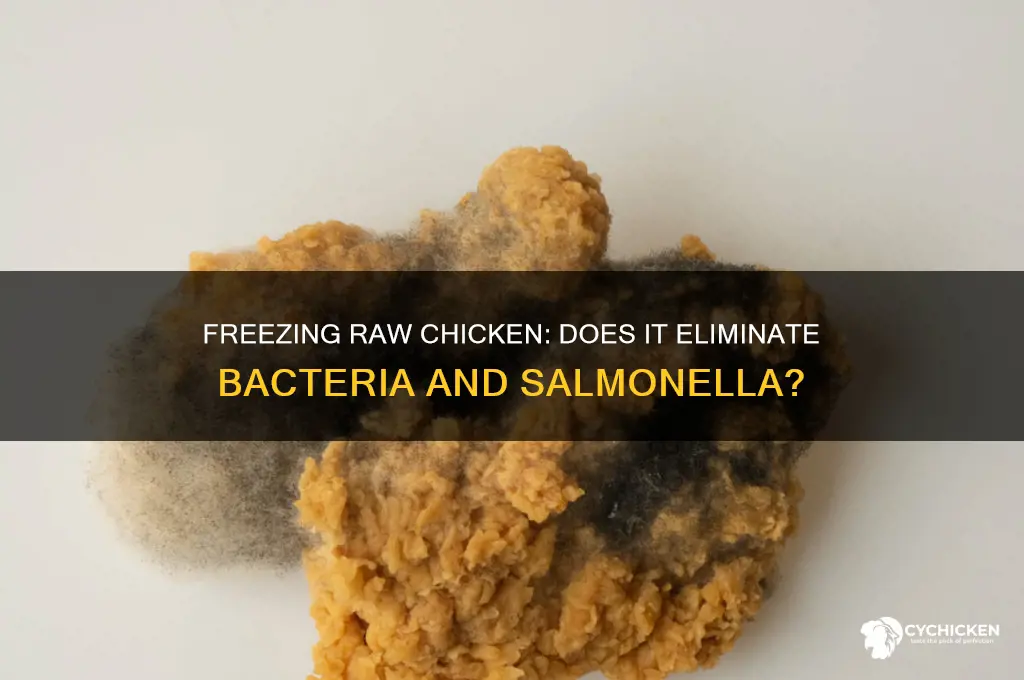 will freezing raw chicken kill bacteria and salmonella