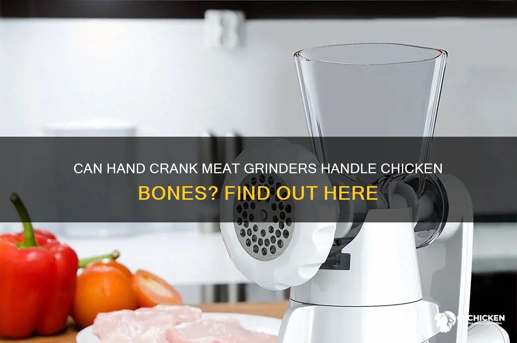 will hand crank meat grinder grind chicken bones