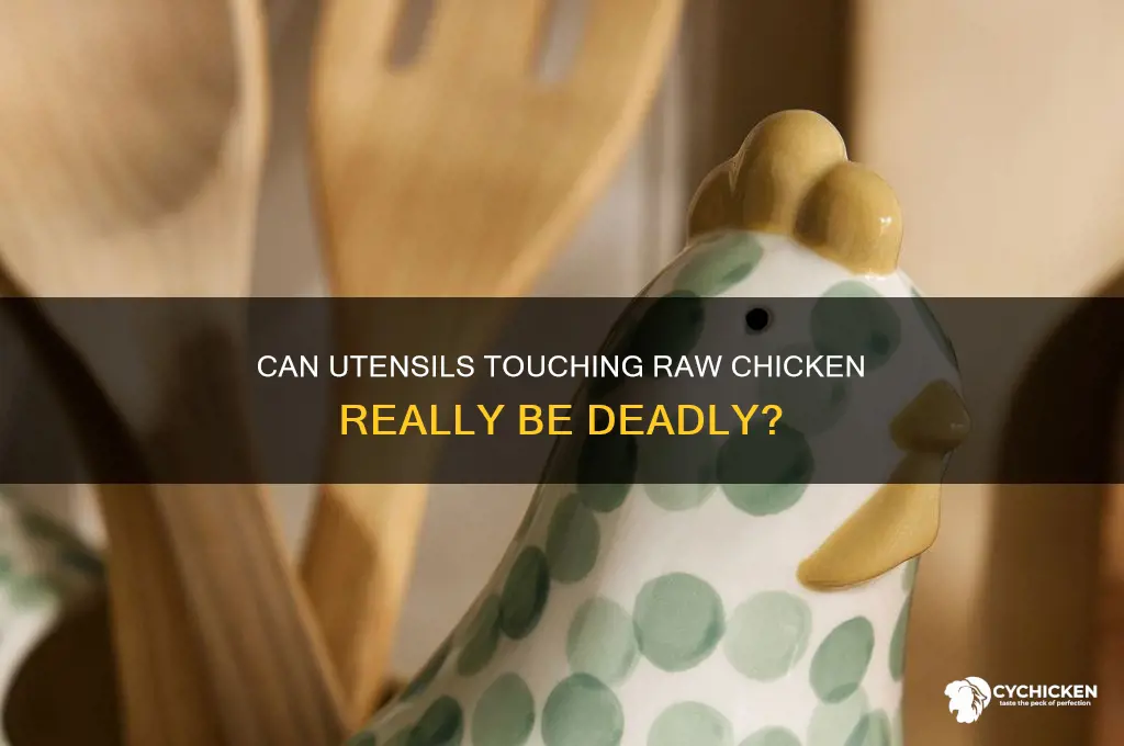 will having utensils touch raw chicken kill you