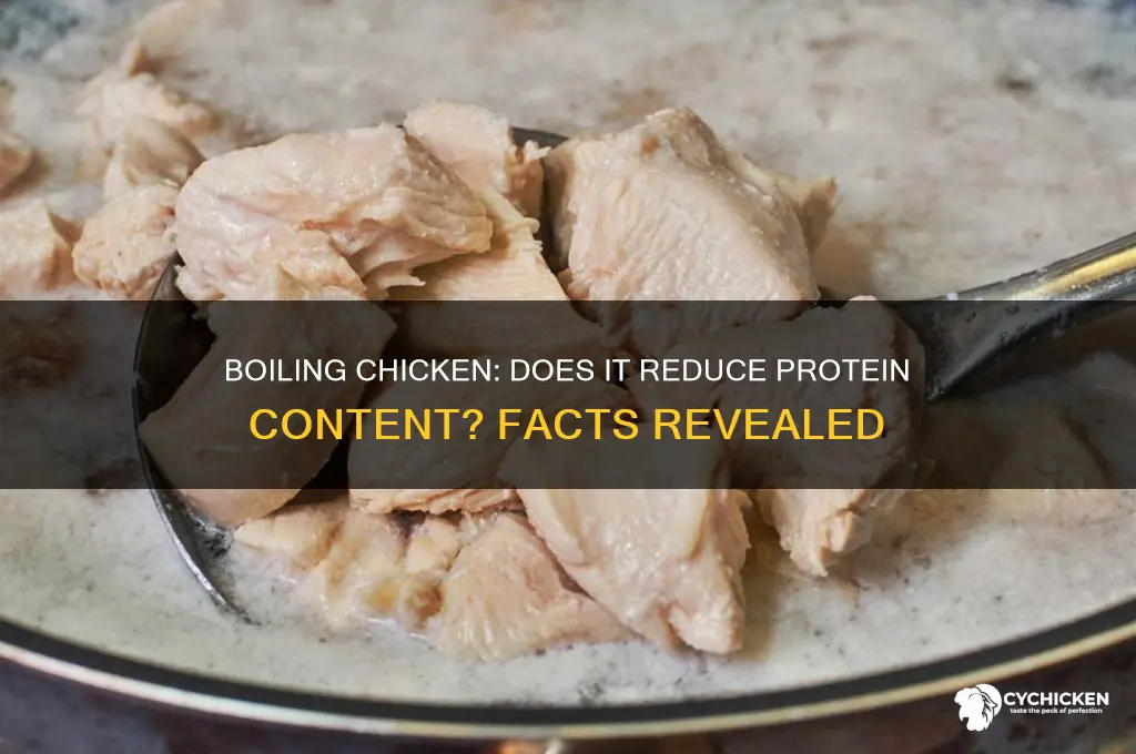 will i lose protein if i boiled chicken