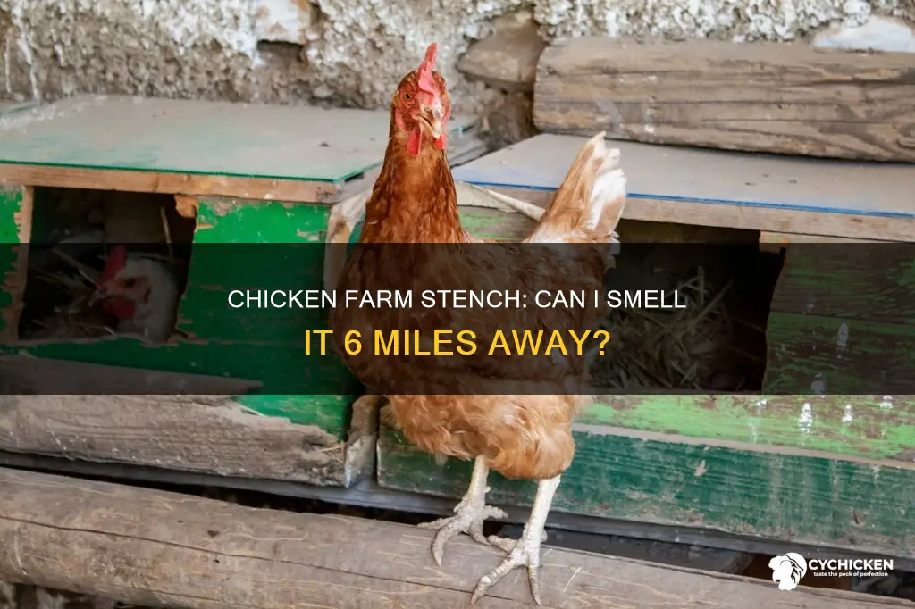 will i smell chicken farm 6 miles away from home