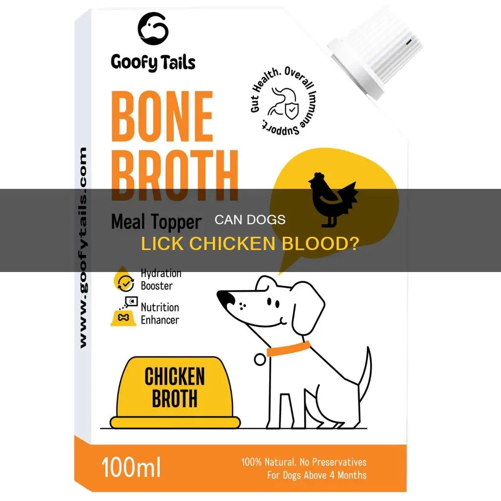 will it hurt a dog to lick chicken blood