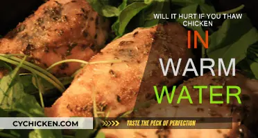 Thawing Chicken: Warm Water Bath or No?