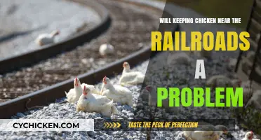 Chickens Near Railroads: Potential Risks and Safety Concerns Explored