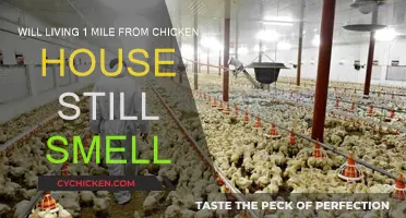 Chicken House Smell: How Far is Far Enough?