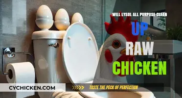 Can Lysol All Purpose Cleaner Safely Sanitize Raw Chicken Surfaces?