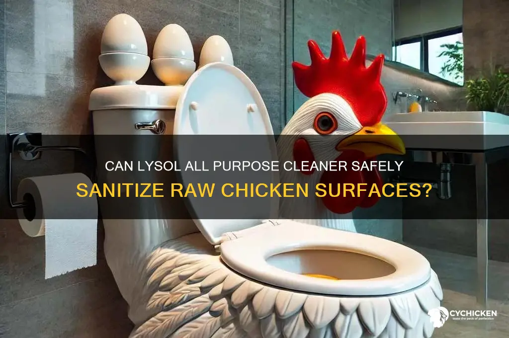 will lysol all purpose clean up raw chicken