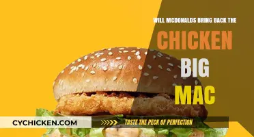 Could McDonald's Revive the Chicken Big Mac? Fans Demand Answers