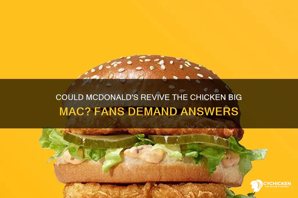 will mcdonalds bring back the chicken big mac