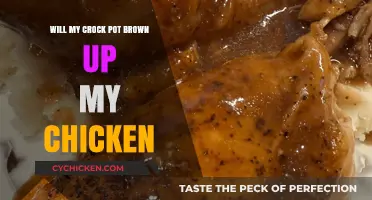 Savor the Flavor: Browning Chicken in Your Crock Pot