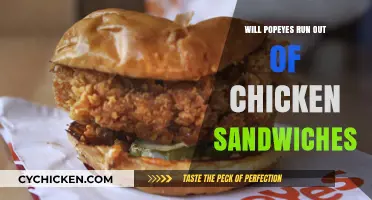 Popeyes Chicken Sandwich Shortage: Will the Craze Outlast the Supply?