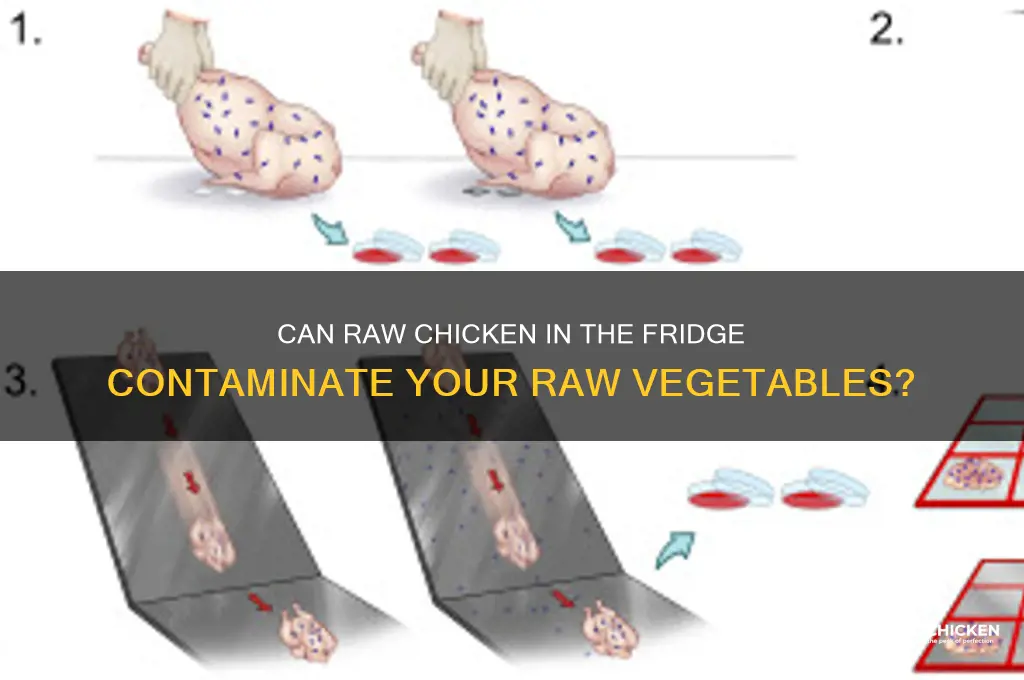 will raw chicken in frigerator containminate raw vegetables