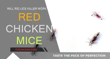Lice Killer: Effective for Chicken Red Mites?