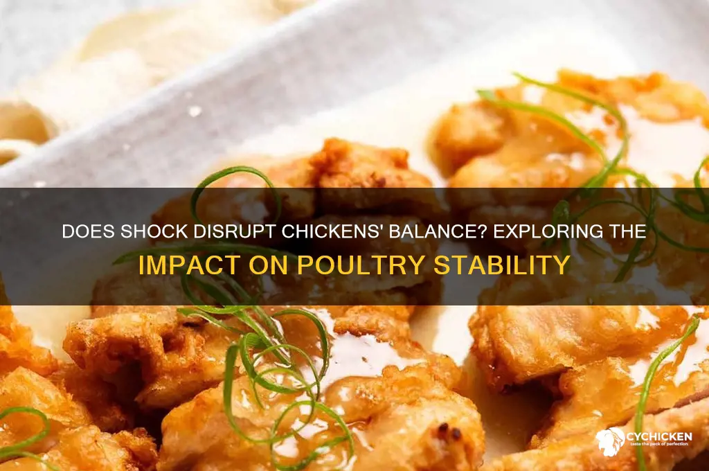 will shock cause chicken to be off balance