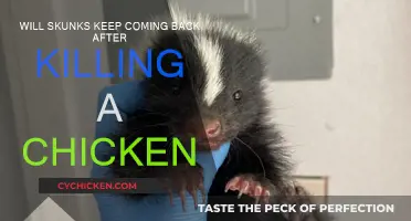 Prevent Skunk Attacks: Protect Your Chickens