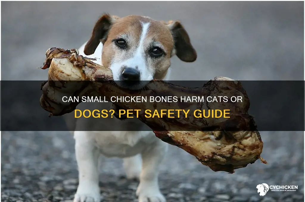 will small chicken bones hurt cats or dogs