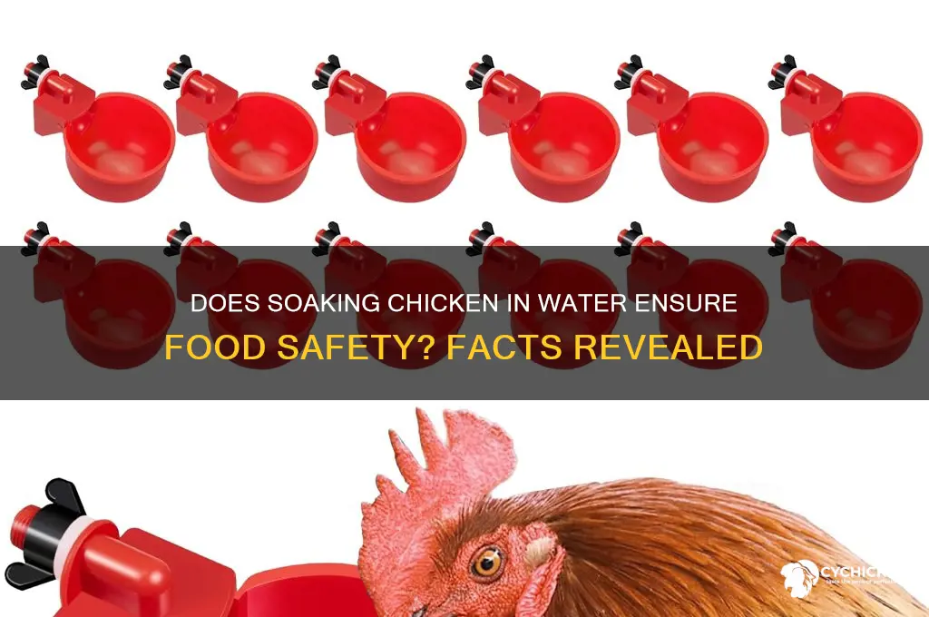 will soaking chicken in water keep it safe