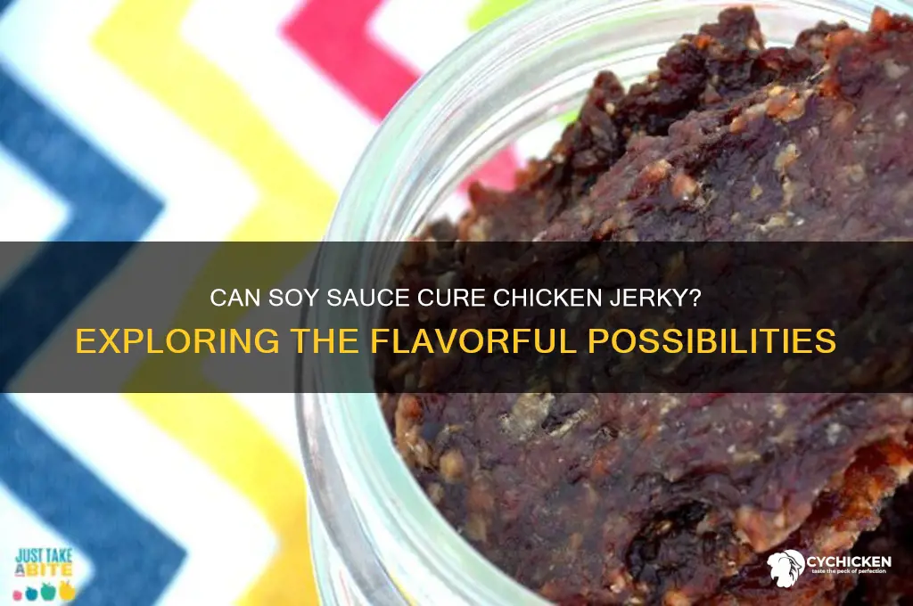 will soy sauce cure chicken jerky