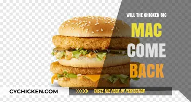 Will the Chicken Big Mac Return? Fans Demand Answers
