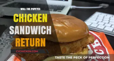 Popeyes Chicken Sandwich Comeback: Rumors, Release Date, and What to Expect