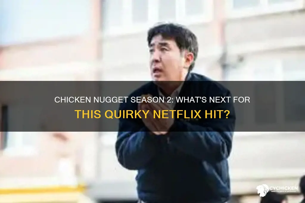 will there be a season 2 of chicken nugget