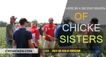 When Will Chicken Sisters Return for Season 2?