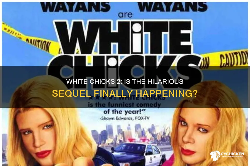will there be a white chicks 2 movie
