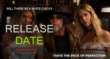 White Chicks Sequel: Release Date and Rumors