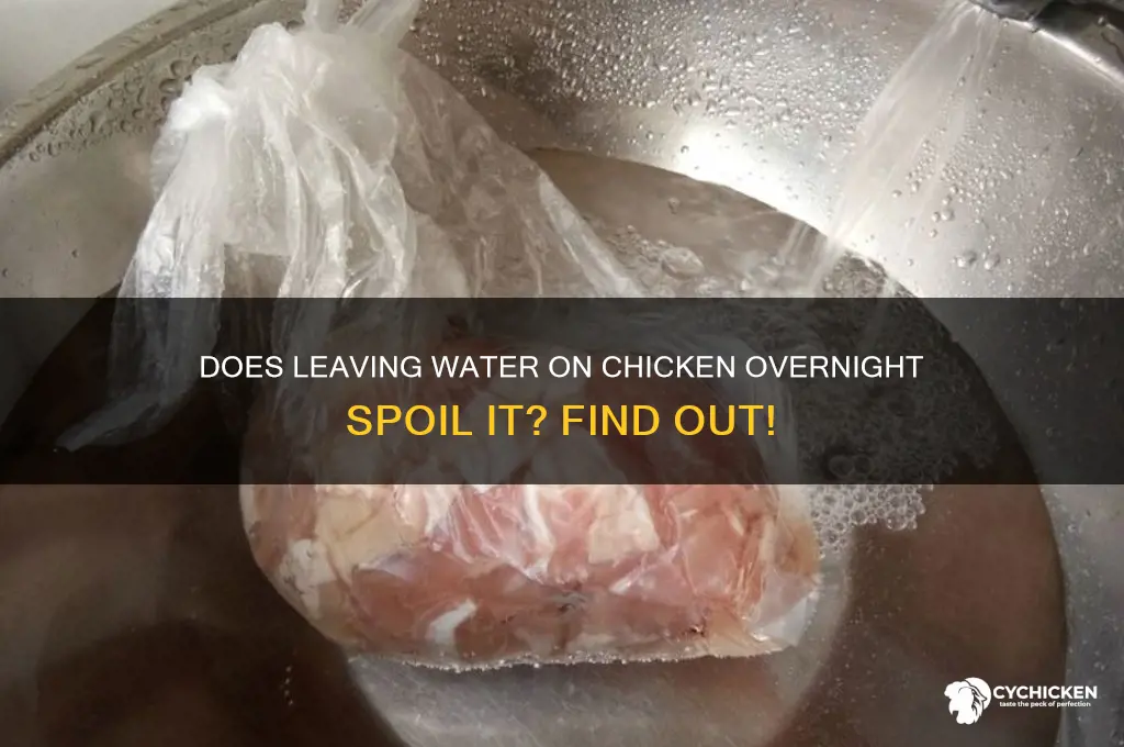 will water on chicken over night spoil it