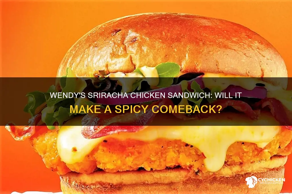 will wendy