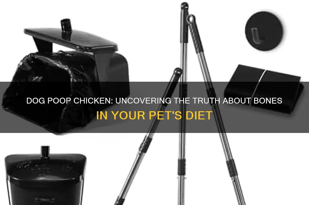 will yo find bones in dog poop chicken