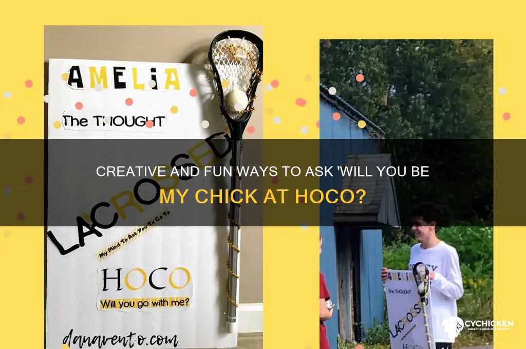 will you be my chick at hoco sign