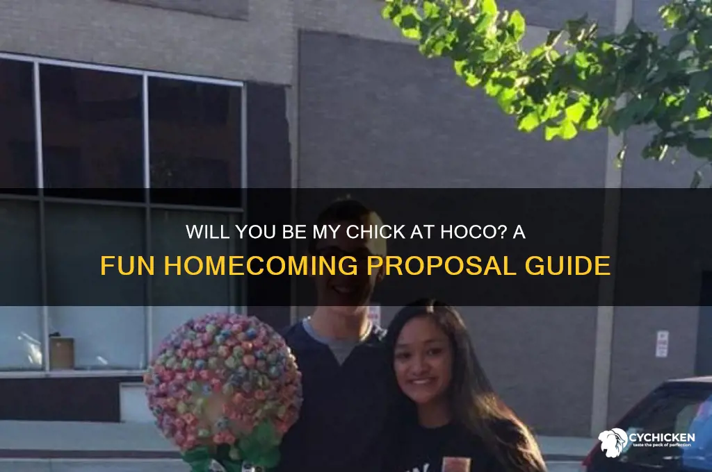 will you be my chick at hoco