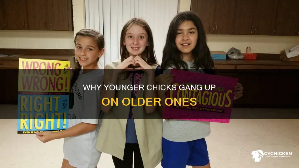 will younger chicks ganged up on an older chick