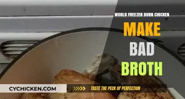 From Freezer Burn to Flavor: Can Chicken Broth Still Shine?