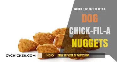 Can Dogs Eat Chick-fil-A Nuggets? Safety Tips for Pet Owners