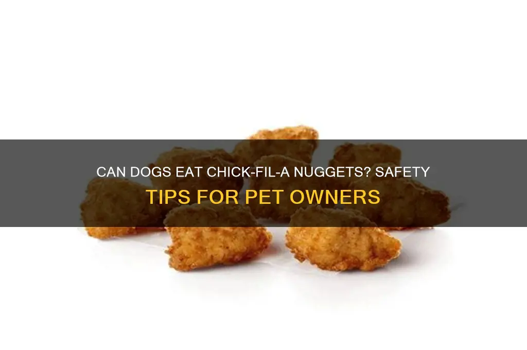 would it be safe to feed a dog chick-fil-a nuggets
